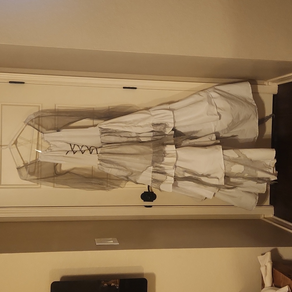 Disney's Haunted Mansion inspired couples costume